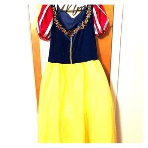 Plus size Snow White costume